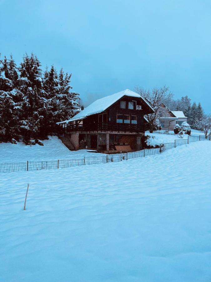 Chalet Pjagodic Cerklje na Gorenjskem Luaran gambar