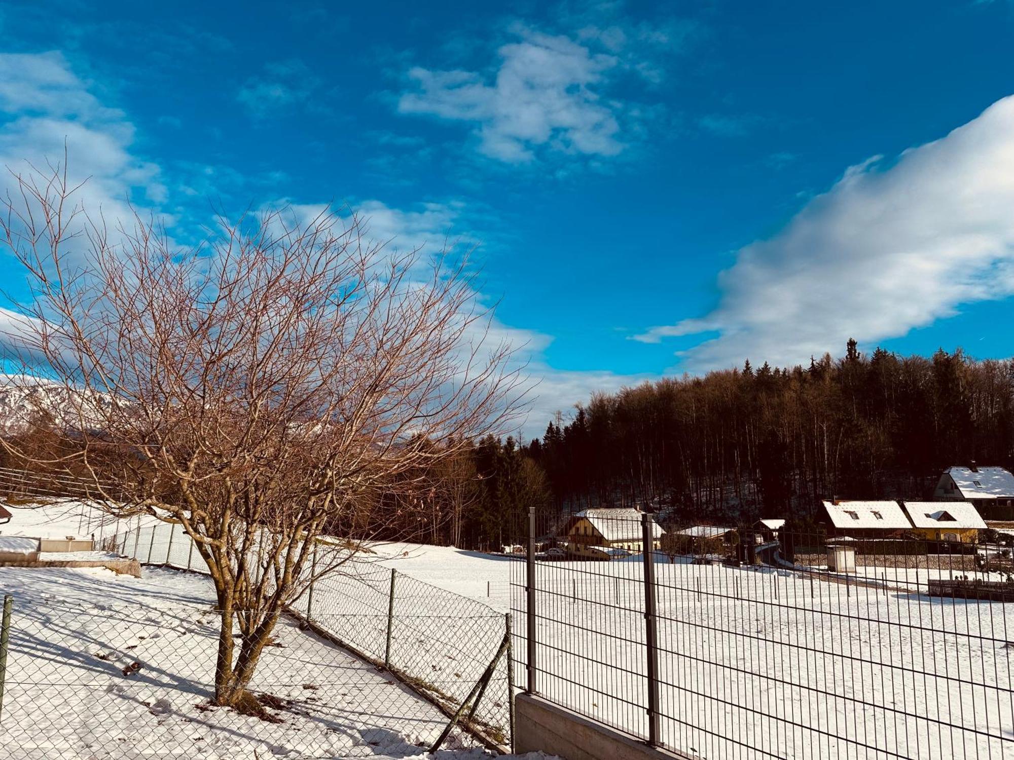 Chalet Pjagodic Cerklje na Gorenjskem Luaran gambar